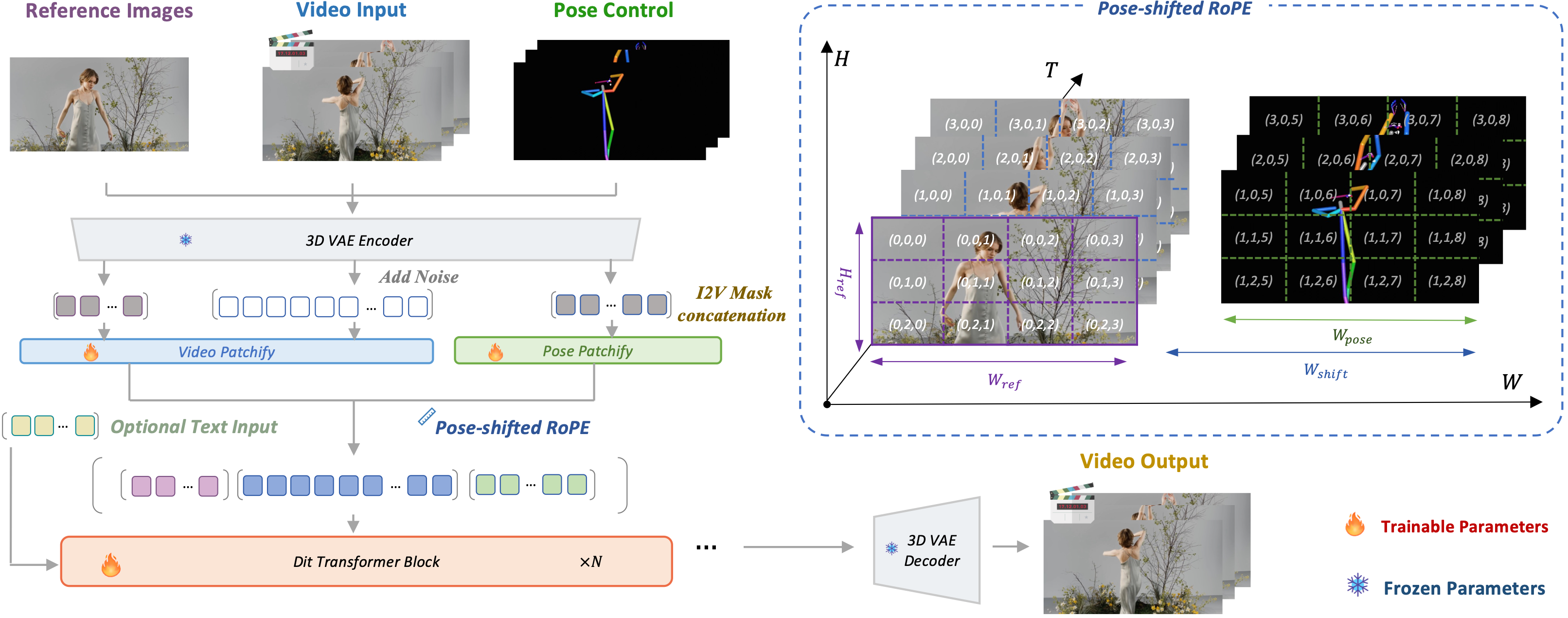 Full-Context Pose Injection with P-RoPE within DiT Architecture